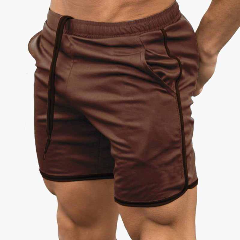 Mesh Quick-dry Casual Sports Training Beach Men's Shorts